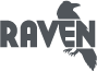 Raven Tools